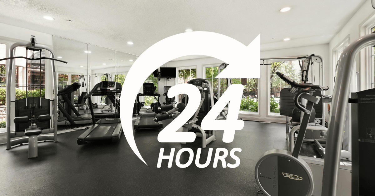 24 HOURS